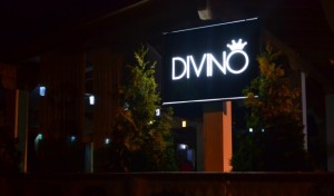 Divino-club-in-aer-liber-la-Sebes