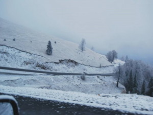 Transalpina-iarna