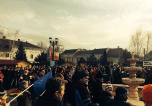 miting-sebes-ianuarie-2015