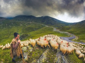 transhumanta-transalpina